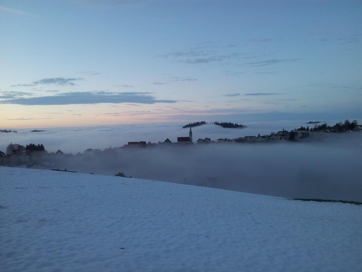 Hotel Garni Traube B&B Schwellbrunn المظهر الخارجي الصورة